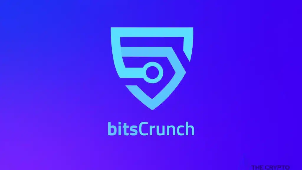 BitsCrunch lanza un programa para startups buscando crear más conciencia y transparencia de datos en el ecosistema NFT.