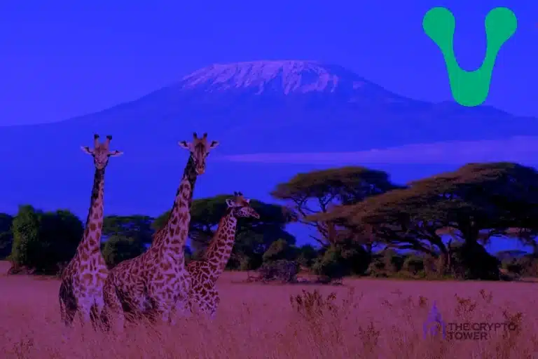 El Gobierno de Kenia ha firmado un acuerdo con Venom Foundation para crear un centro de blockchain y Web3 en África.