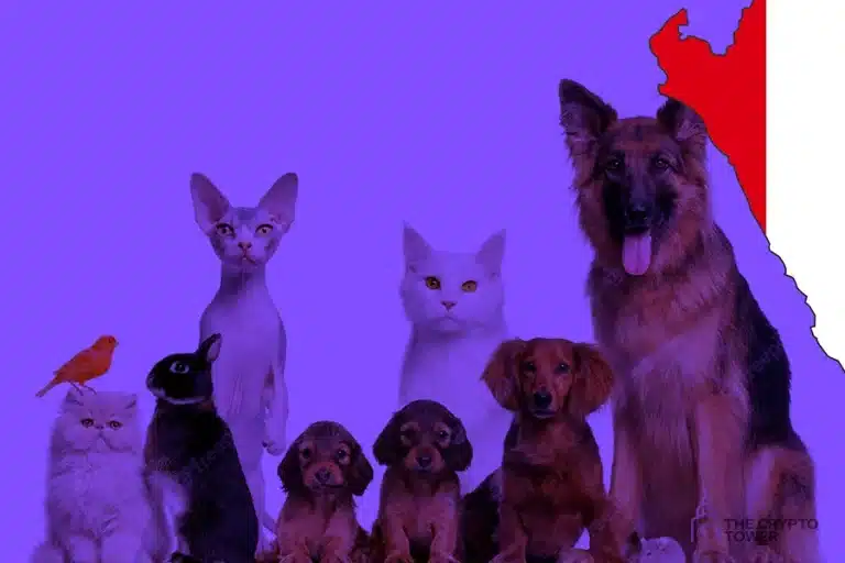 El proyecto Firulaix está llevando la innovación al Registro Civil de Mascotas en Perú mediante el uso de tecnología blockchain.